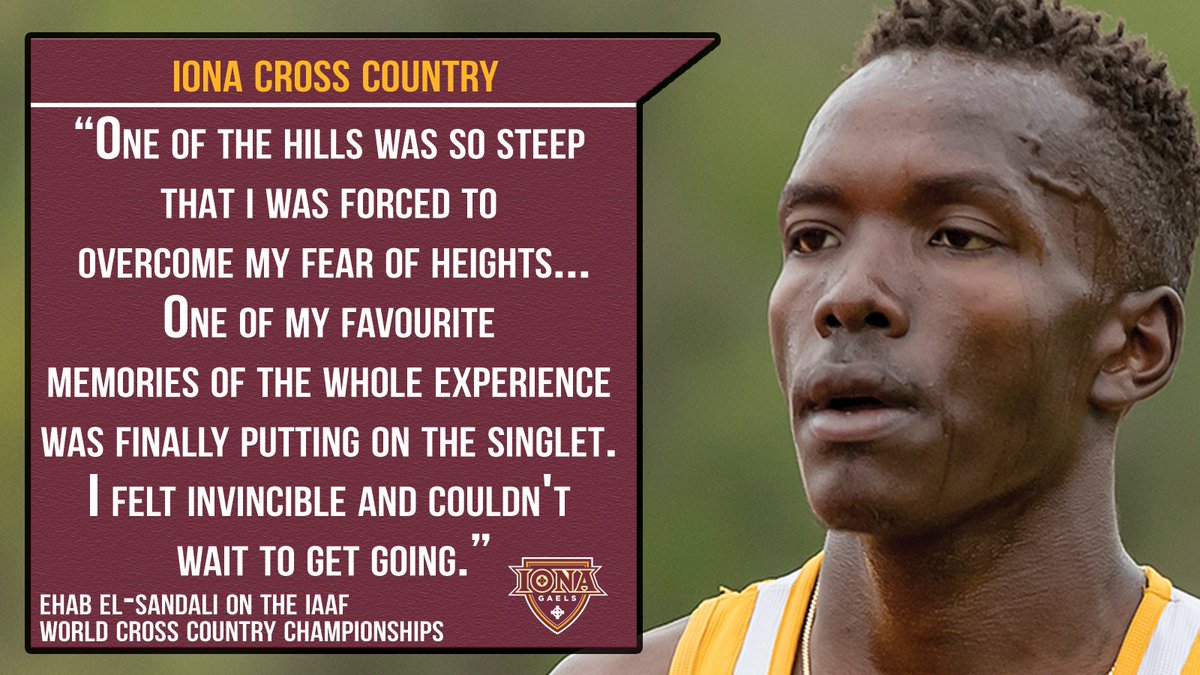 IonaGaelsXCTF tweet media