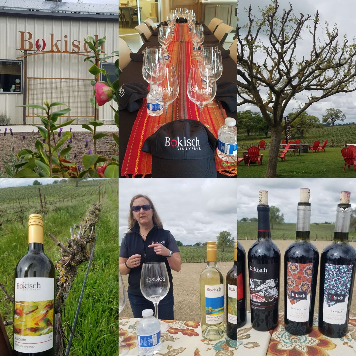 winecompass's tweet photo. Thanks to @bokischwine for the hospitality and sips of Albarino, Grenache Blanc, Verdejo Tempranillo, and Graciano. Excellent wines. Plus the bottle at @Winesandroses Cheers. @Lodi_Wine
@Snooth #lodiwine #wine #winelover #wineconsumer #winelovers #thecompassapp https://t.co/GH9UQ9LuvE