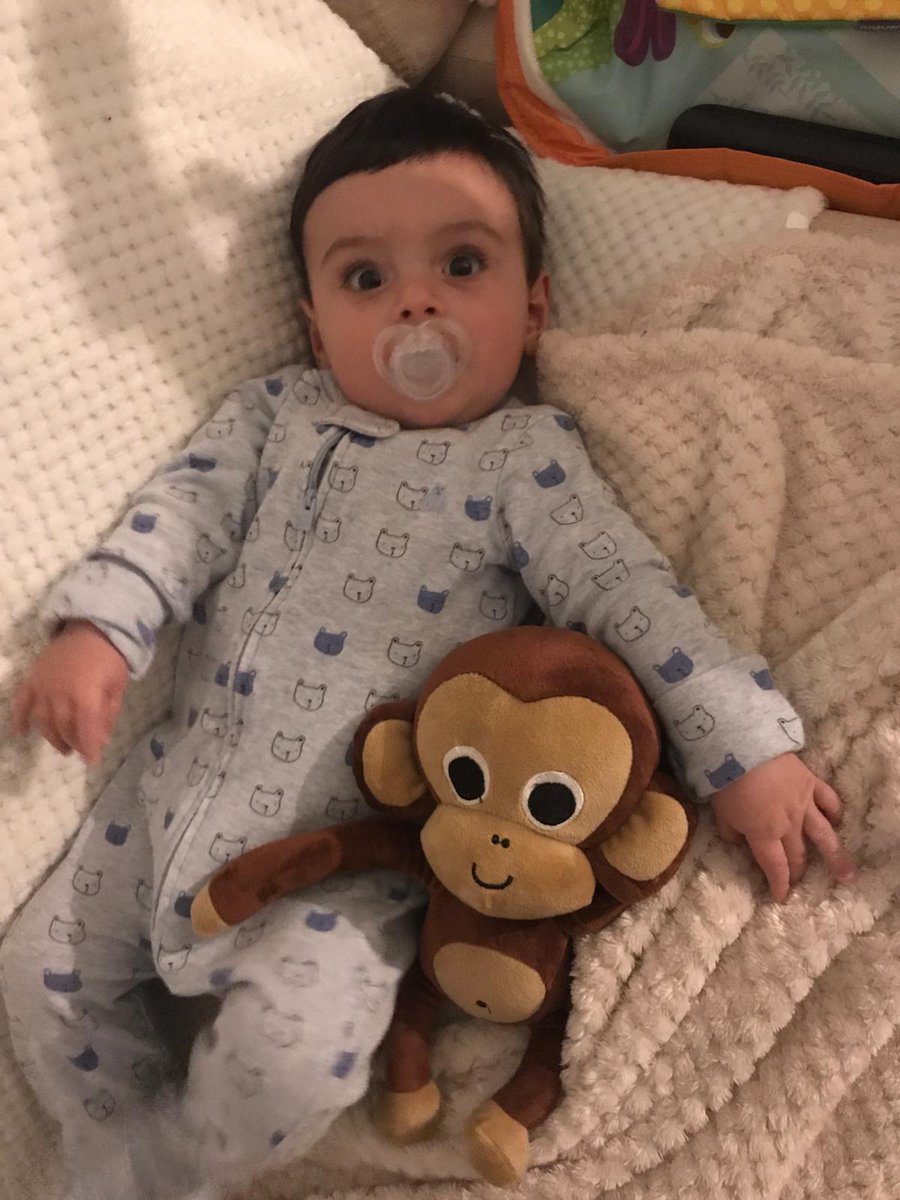 NimaKidsCO's tweet photo. Thank you very much Montse Sanchez Domene for sending us these images of your little Nil with #Cheempo We wish that they become good friends! #softtoys #chimpanzees https://t.co/HHv7d9Hyr6