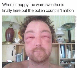 missybailey01's tweet photo. TH Plus Anyone?? 😂😂😂😂 Don't be this person when you don't have to!
#x2heal #happy #healthy #terrific #allergies #sinus #pollen #itchyeyes #sneezing #runnynose #stuffyhead #congestion https://t.co/F014UeSvLC