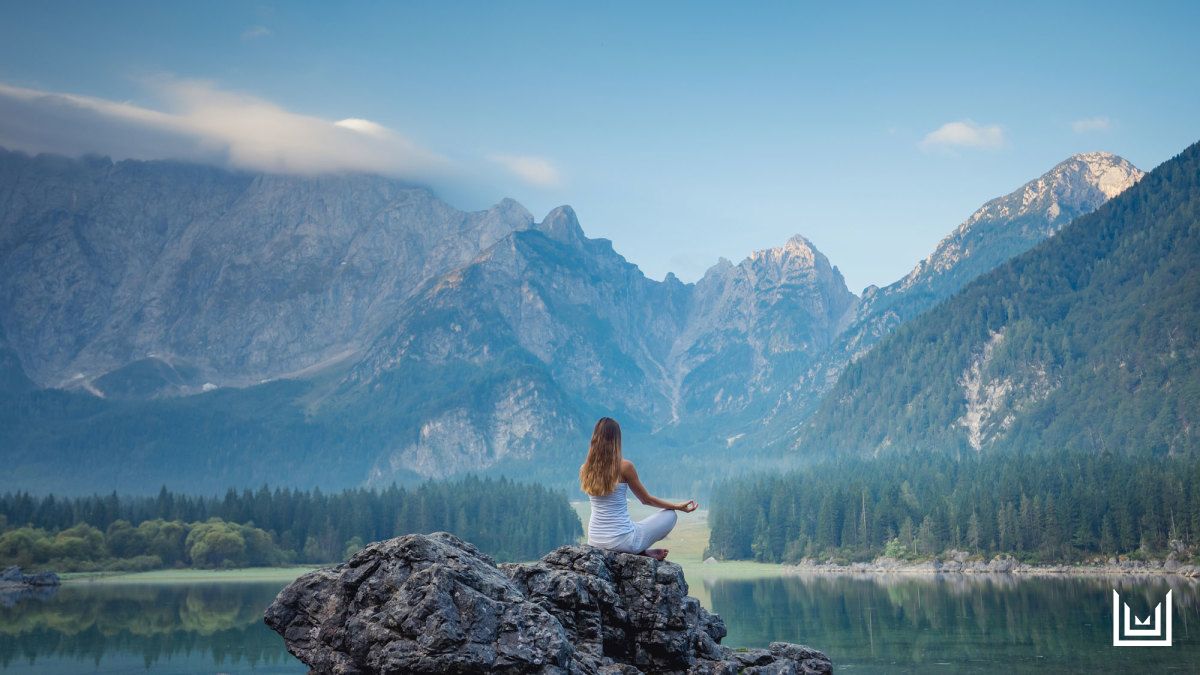 “Comfort by Vergence nourishes the ECS with medicinal plants that do not contain tetrahydrocannabinol (THC). Comfort meets a real need to increase vitality, energy and mobility. In short, Comfort supports a healthy mind and body by nourishing the ECS.”–Brazos Minshew