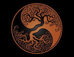 "The roots of all goodness lie in the soil of appreciation for goodness."
~Dalai Lama
#ThursdayThoughts