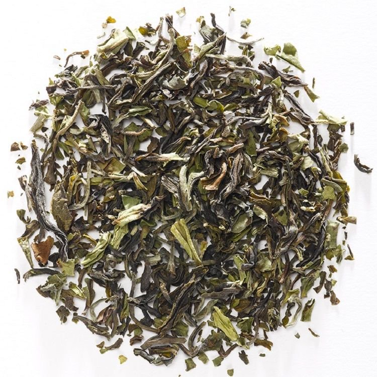 Wouter Gryson tweet media