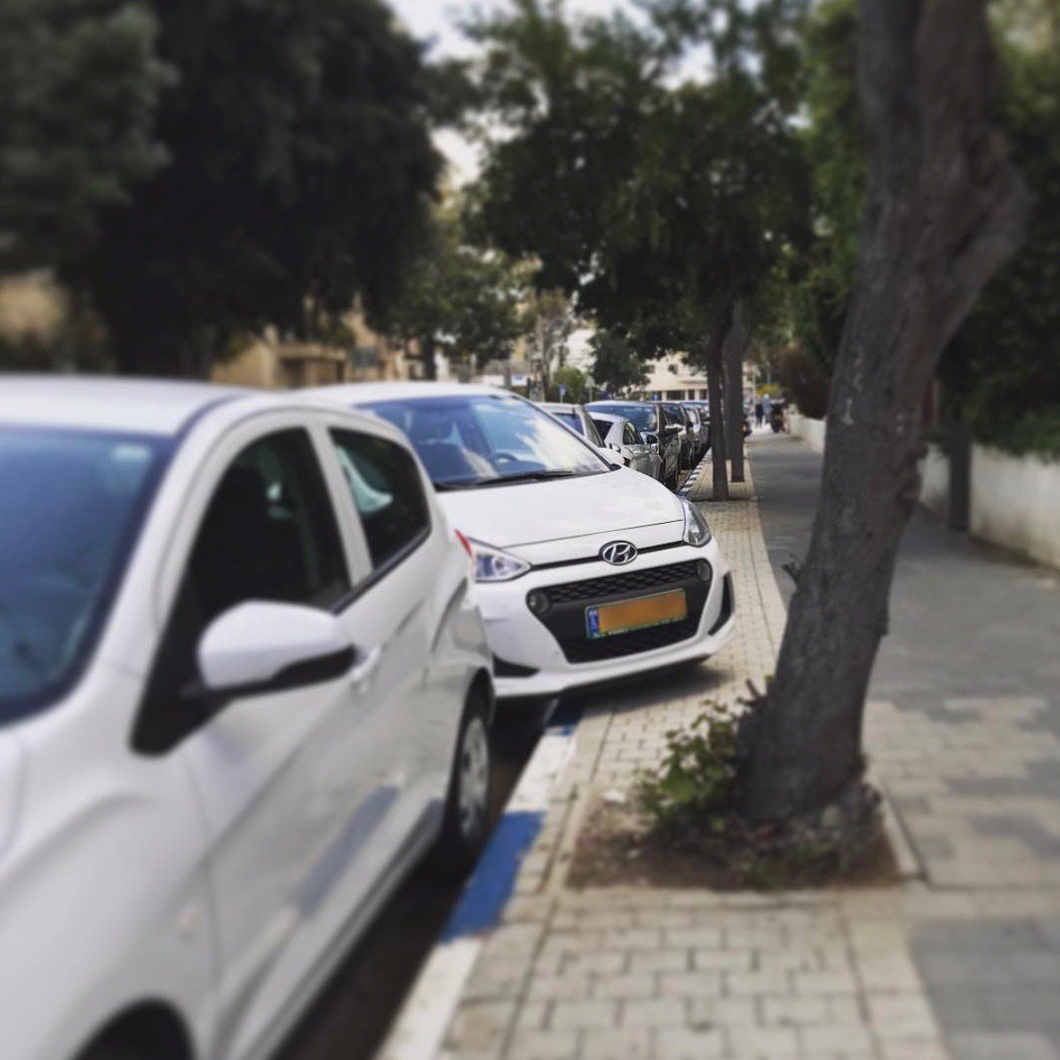 Seriously though, @parkingtlv, we don't know how you keep finding these parking jobs, but if these folks were renting their parking spaces ahead of time with <a href="/ParqueoApp/">Parqueo</a>, they wouldn't have to snag the leftover spaces where they can barely fit!  #parking #needparking #parkingwar