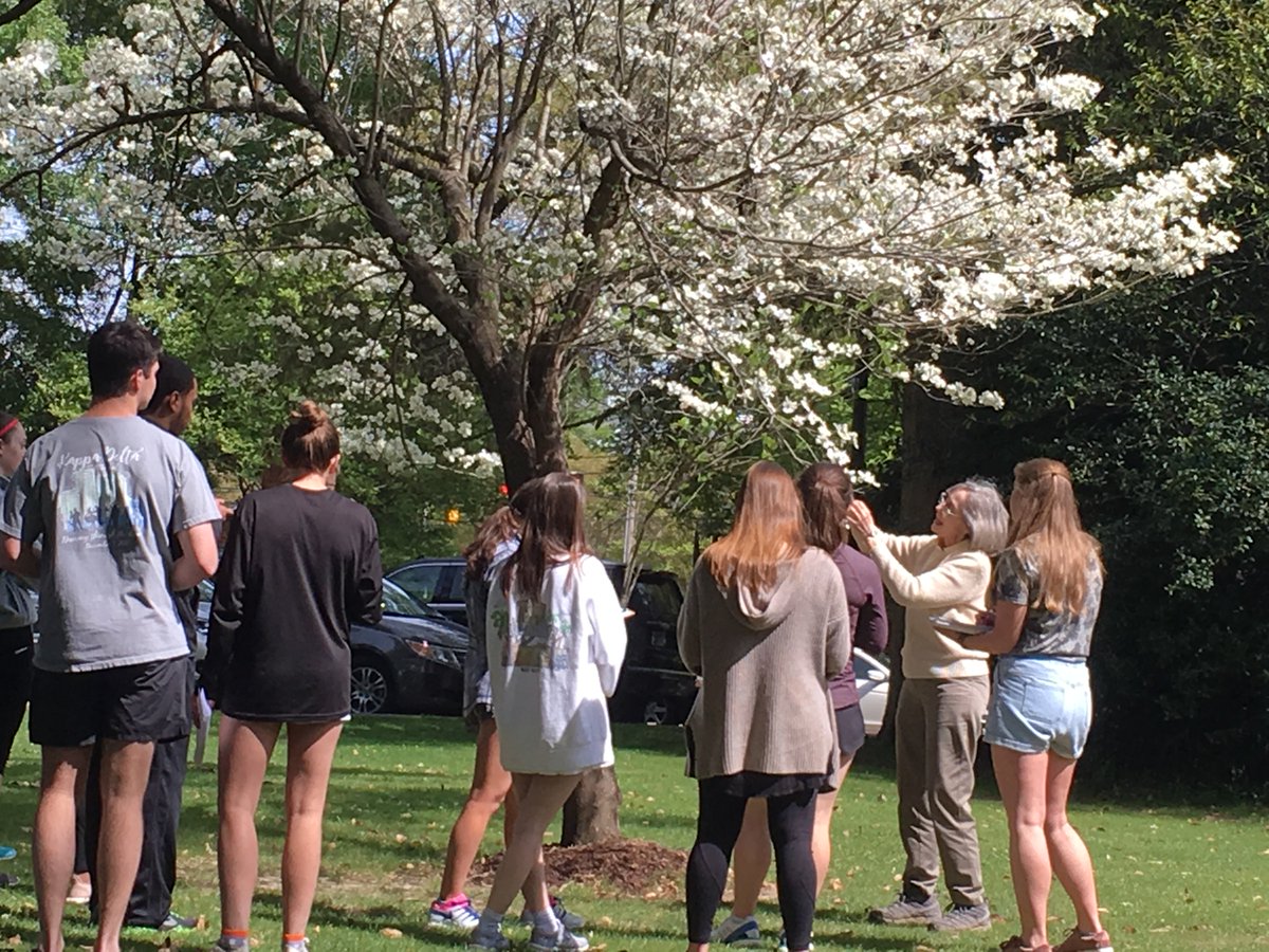 millsapscollege's tweet image. Springtime means getting out of the classroom! This week, Dr. Deborah Mann&apos;s botany class studied trees on campus, while Dr. Will Selman&apos;s zoology class headed off campus to study vertebrate diversity and abundance. #dotolearn