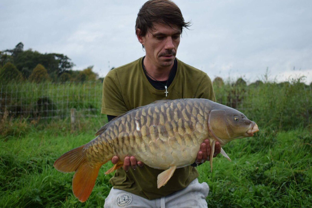 alicampbell1980's tweet photo. Probably my most enjoyable carp for the manor pond. Not the biggest but and stunner all the same #ccmooreuk #fullyscaled #manorpond #lookback #stunner https://t.co/MCdonjXLgi