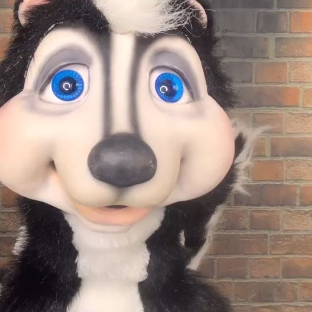 christinebarger's tweet image. Stunkles tries the new challenge #bouncyegg on @tiktok ift.tt/2UpWFi4