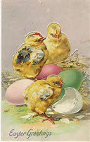 BonneTerreInnMS's tweet photo. Easter Brunch April 21, 10:30am-1:00pm call for reservations (662) 781-5100
#brunch #familyfun #eastersunday #easter #brunchbuffet #cartering #bedandbreakfast https://t.co/y76p618q2D