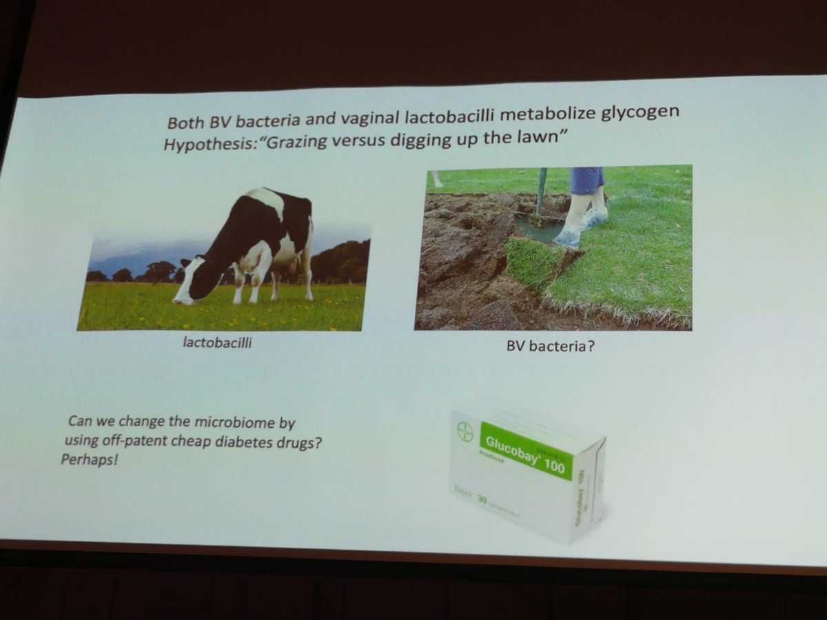 livelyroland's tweet photo. "Can we change the microbiome by using off-patent diabetes drugs?" Perhaps they can change the types of vaginal bacteria. Less diggers, more grazers! @ryhertzberger #openkitchenscience @waag https://t.co/CkcAiusQfz