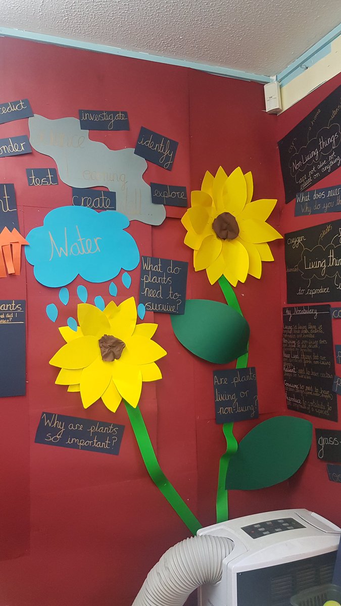 er12xw's tweet photo. New Science Wall for next term... Key Question: "What do plants need survive and grow?" https://t.co/pyXG6VD8CG