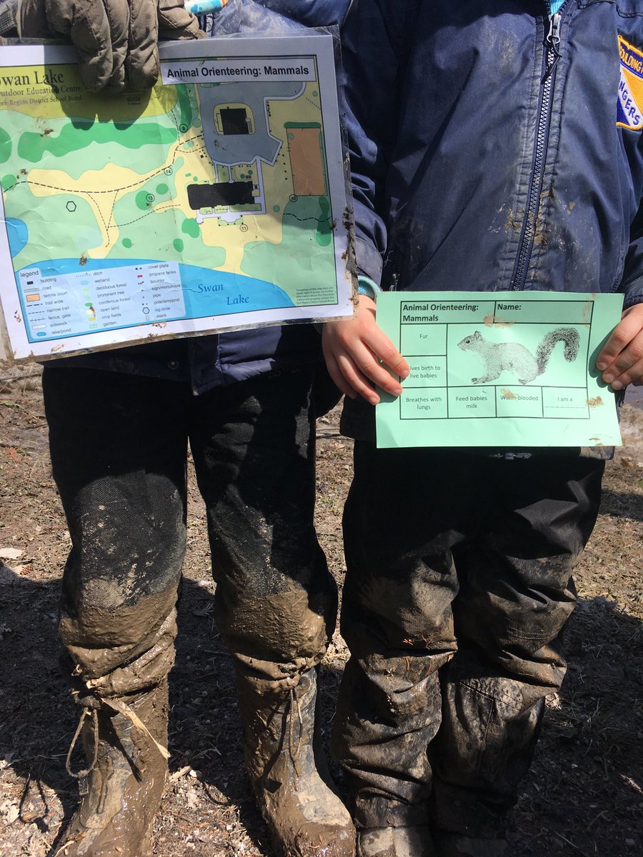 SwanLakeOE's tweet photo. Another successful round of springtime Animal Orienteering with the grade 2’s from ⁦@GermanMillsPS⁩ #yrdsboutside #splashpants #muddy #loceit https://t.co/kSJ183I7b5