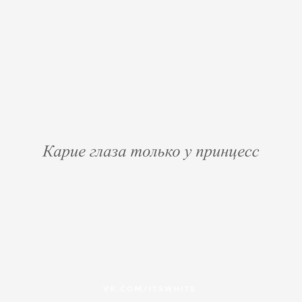1L1 tweet media