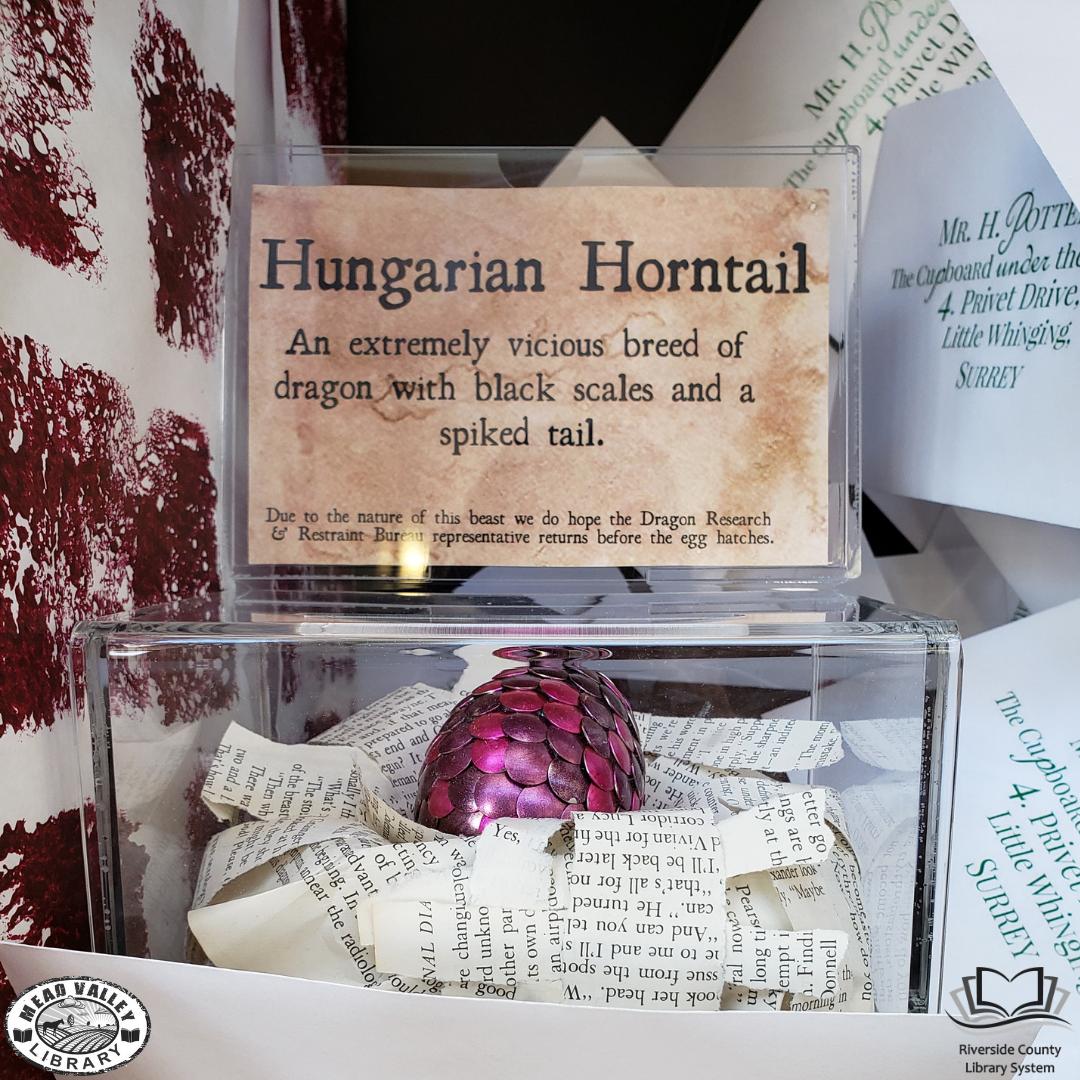 MeadValleyLib's tweet photo. We've also added this Books, Crafts & Snacks book to the Harry Potter & the Library Display. It's safely tucked away in our fireplace - it has to stay warm! #meadvalleylibrary #meadvalley #library #harrypotter #harrypotterandthegobletoffire #dragon #dragonegg https://t.co/eldpWYaiQ9