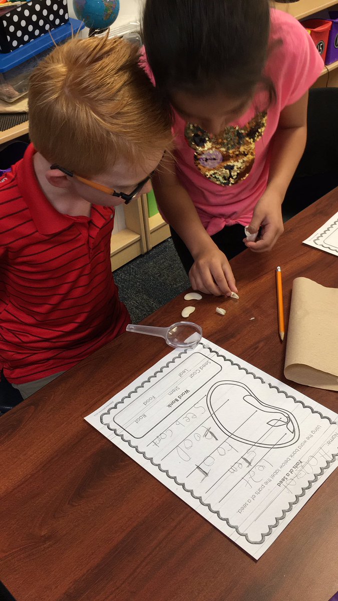 firstiefrogs's tweet photo. A seed is a promise! #bestatYES https://t.co/SqIldwWbtB
