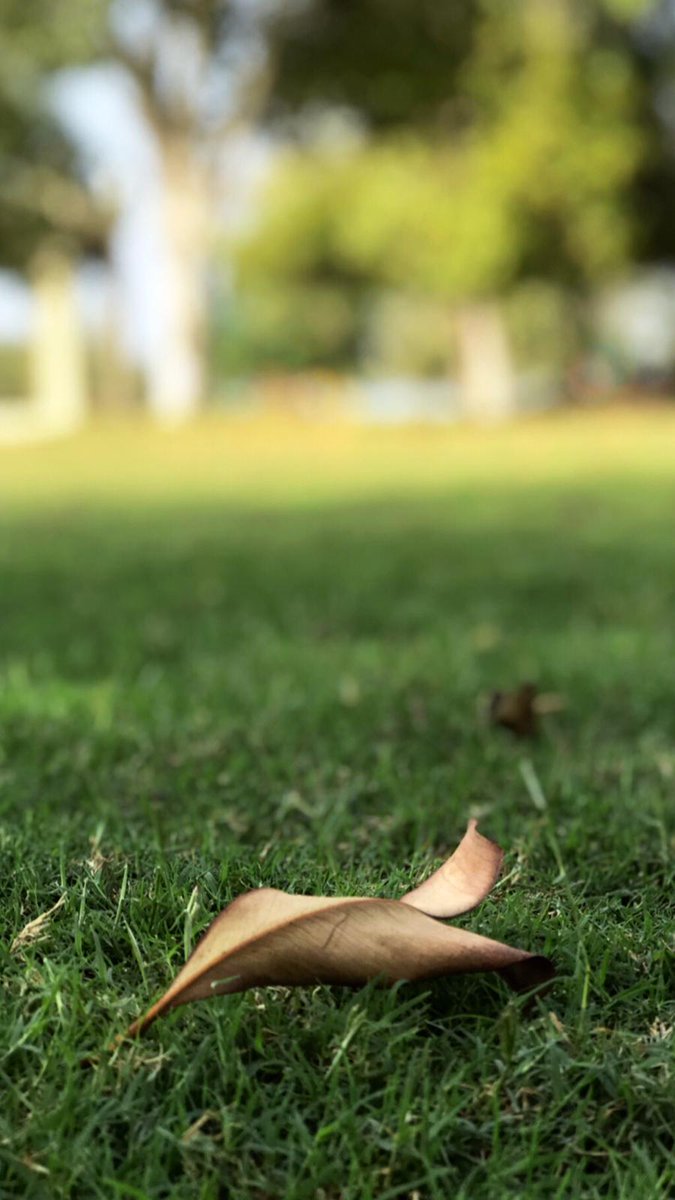 a2a3as's tweet photo. أيقِن بأن الوصُول إلى ��لأحلَام هو مُجرّد:
دعاء واستغفَار وجُهد .
‌ https://t.co/UHpgtcpGDn