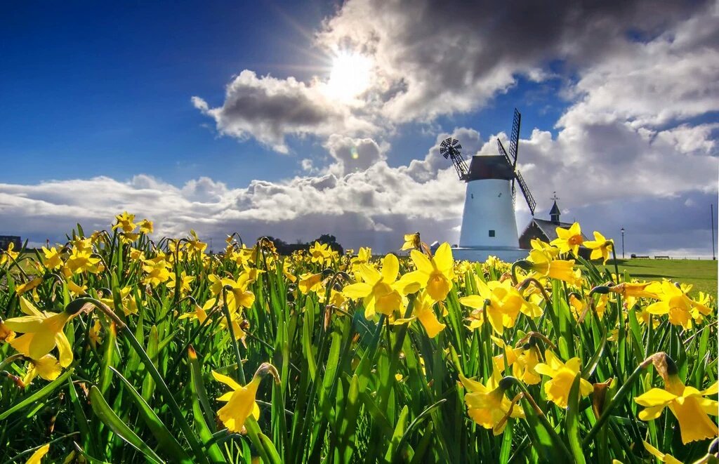 Lytham & St Annes (love where you live & visit) tweet media