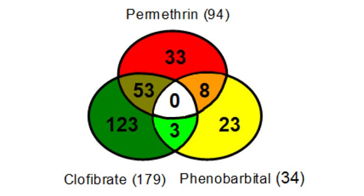 ToxSci's tweet image. Understanding how the #pyrethroid #insecticide #permethrin contributes to liver tumor formation. @EPA bit.ly/ToxSci168_2Kon…