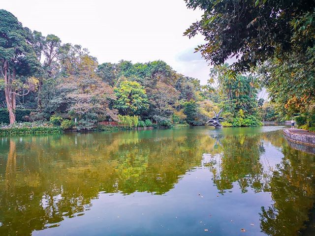 ohlalatada's tweet photo. Memories of a beautiful garden...
-
"Je réclame le droit de rêver au tournant De la route Aux grands charmes de la promenade
Le droit de m'émouvoir du monde maintenant Que s'approche la canonnade
Je réclame le droit des hommes à pencher Leur visage anxie… https://t.co/jA9RWk8A4N https://t.co/VluMln9vWT