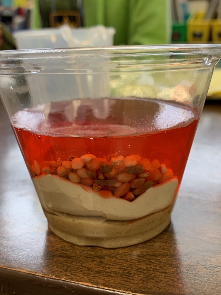 Working on a model of pollution caused by runoff...we are going to design a system to filter it out!!