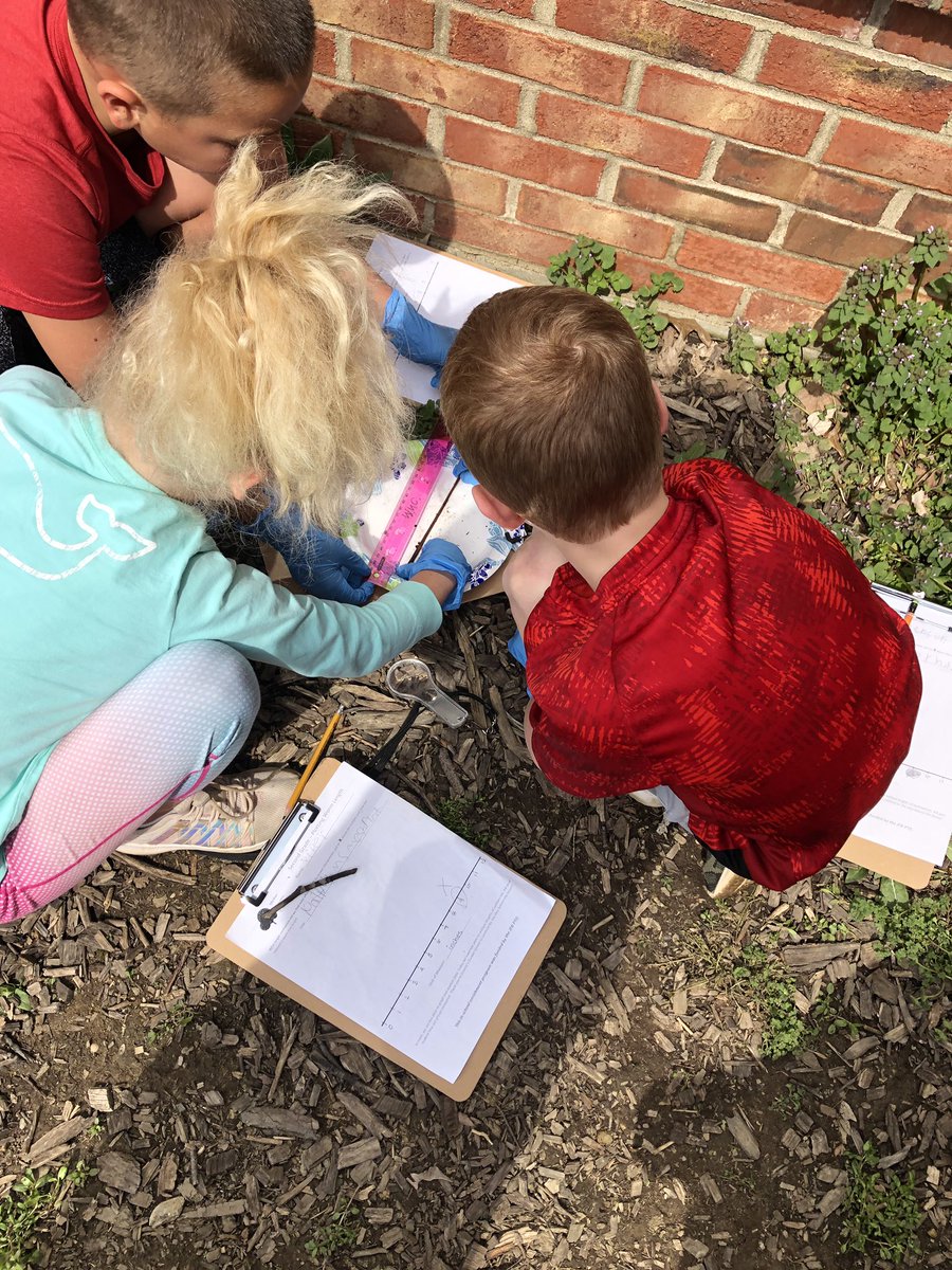 mrs_caudell's tweet photo. Thanks Mrs. Pennington for a great lesson on measurement and line plots! It’s always fun when we get to measure worms and work outside!##JFBgrade2rocks https://t.co/m6gLKEIkdU