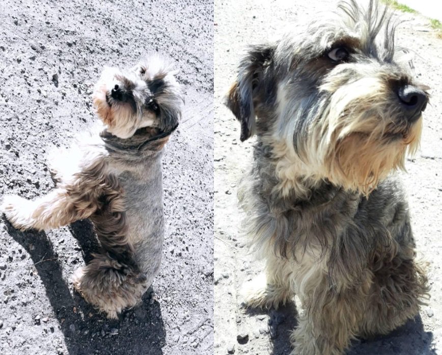 Central Puebla tweet media