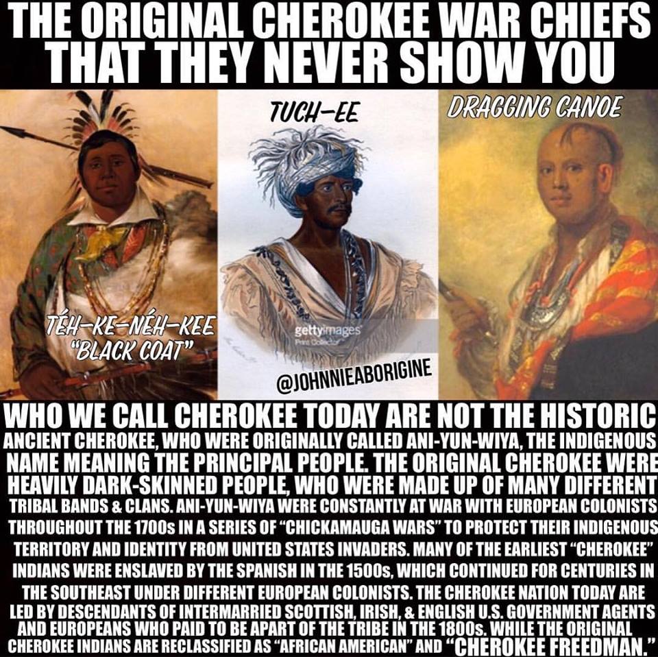 MeruMuadDib's tweet image. #FeathersandFez
#CopperColor