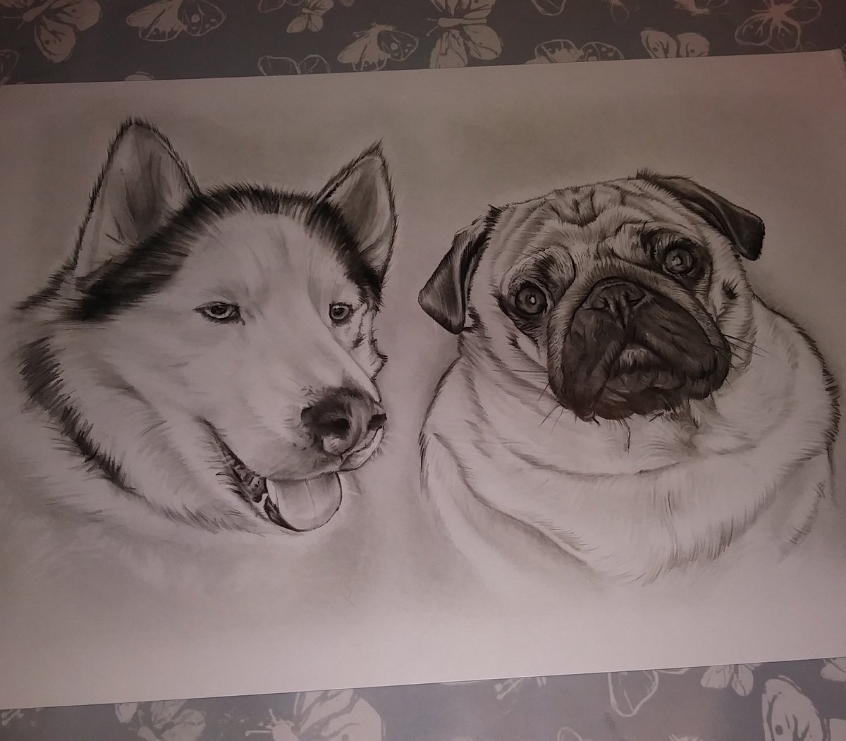 ScottJdraws's tweet photo. Heres a recent #petportrait #Commission ive finished. #Graphite #pencil on a4 paper https://t.co/l5M4rwy3ga