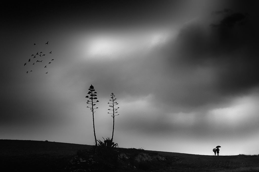 trixxx_vw's tweet image. youtu.be/ZLTFHuAvBsU

Mariano Belmar. Presagios