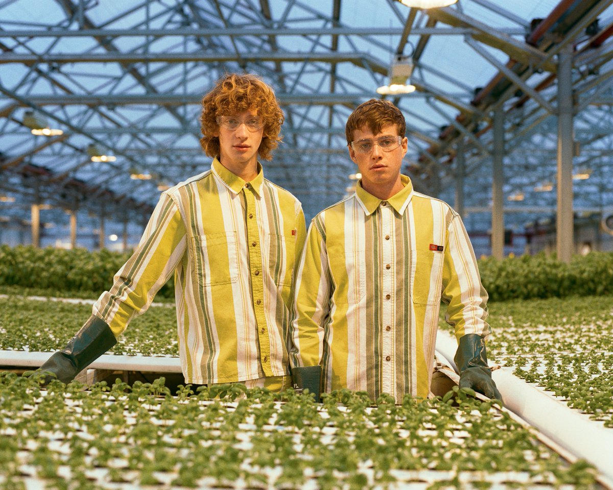 gothamgreens's tweet image. Farm fresh looks from @openingceremony x @dickies. #freshaf #farmingisfashion 📸: @openingceremony