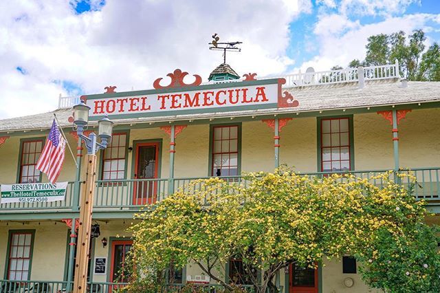 visit_temecula's tweet photo. We are admiring the beautiful Lady Banks Climbing Rose in front the @thehoteltemecula! It blooms once per year and it is 110 years old! #visittemecula #temeculawinecountry #oldtowntemecula #temeculaca #temecula #temeculavalley #temeculawineries #visitcal… https://t.co/emiI23hHdw https://t.co/gM41ccpKPF