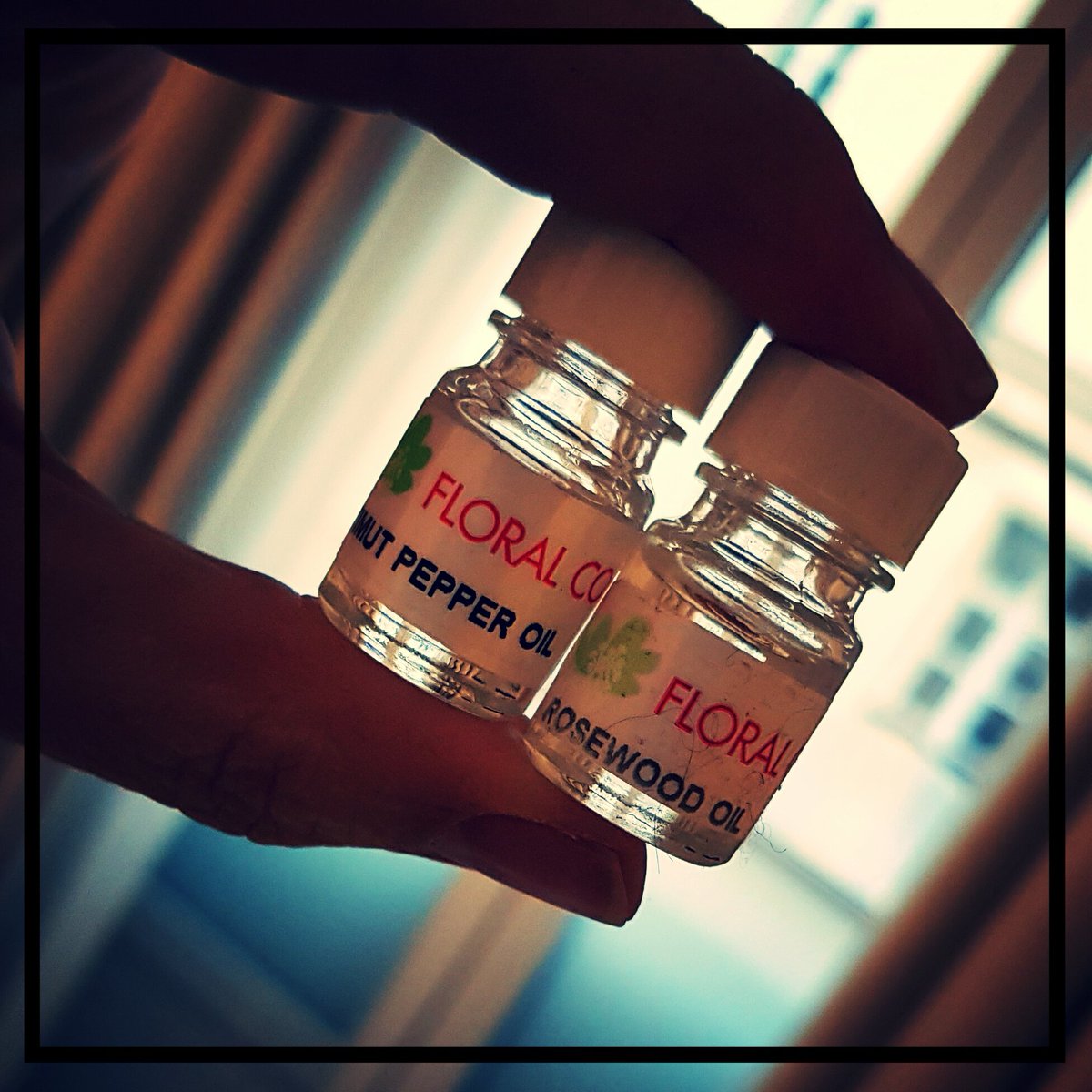 4160Tuesdays's tweet image. Exciting times at @incosmetics smelling #floralconcept rosewood and timut pepper essential oils. I chewed a timut peppercorn, which makes your tongue all tingly. 
#perfumemaking #incosmetics