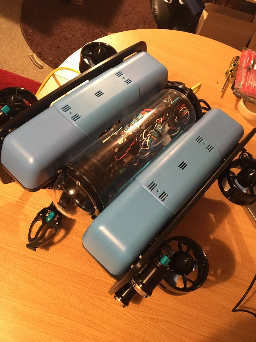 Dr Alice Hall tweet media