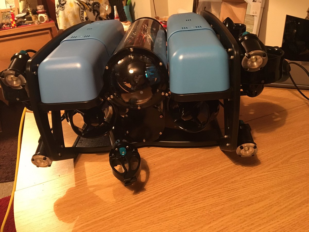 Dr Alice Hall tweet media