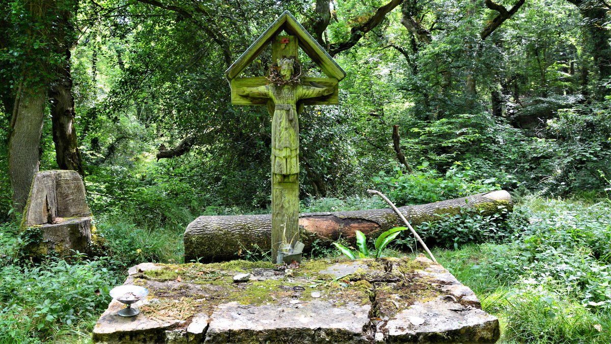 St Luke’s Chapel, Abbotsbury, Dorset, and Golden-Ringed Dragonflies. A guest blog post by Peter Norton. 

silentearth.org/st-lukes-chape…