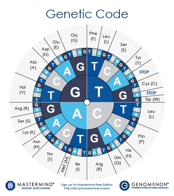 genomenon's tweet image. Don&apos;t forget to stop by booth 620 to get the highly requested #CodonWheel! 
We are running out quick! #ACMGMtg19