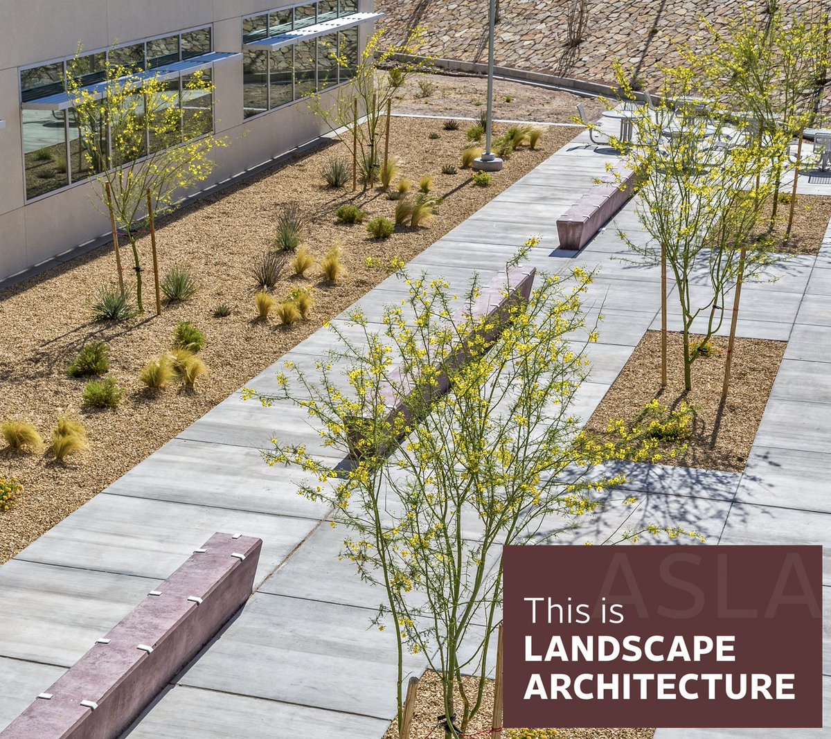 NMASLA's tweet image. The landscape design of Centennial High School by Dekker Perich Sabatini cultivates an appreciation of a regional aesthetic and maximizes views of the majestic Organ Mountains. #wlam2019 #thisislandscapearchitecture #publicschools #landarch #landscapedesign #sitedesign