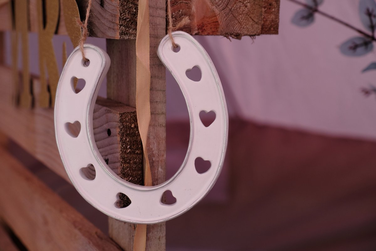 Totallytents tweet media