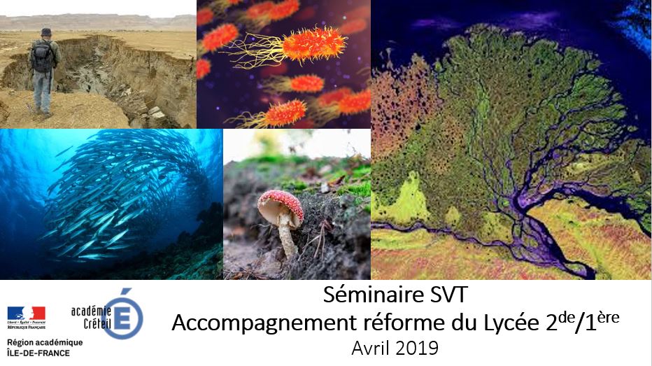 SVTdeCreteil's tweet photo. Les diaporamas du matin présentés lors du séminaire #réforme #lycée2019 #SVT des 1, 2 et 4 Avril 2019 sont téléchargeables sur le site académique ➡️ https://t.co/4LIkwB76ED https://t.co/MV8pVa0oPj