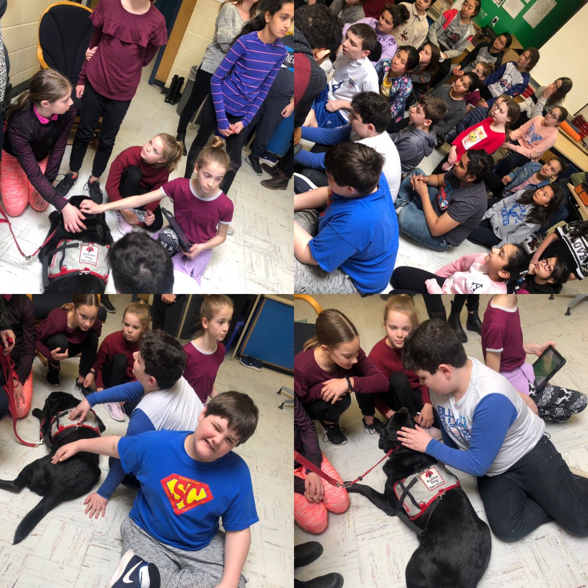s_deeck's tweet photo. Day 4 of our Autism Awareness Week Activities- We had a special visit from a service dog and played kahoot games with our friends ! Such a great turn out 💕 #AutismAwarenessWeek #awarenessisacceptance #inclusion @HillcrestMS1 https://t.co/8mFFbZ7eir