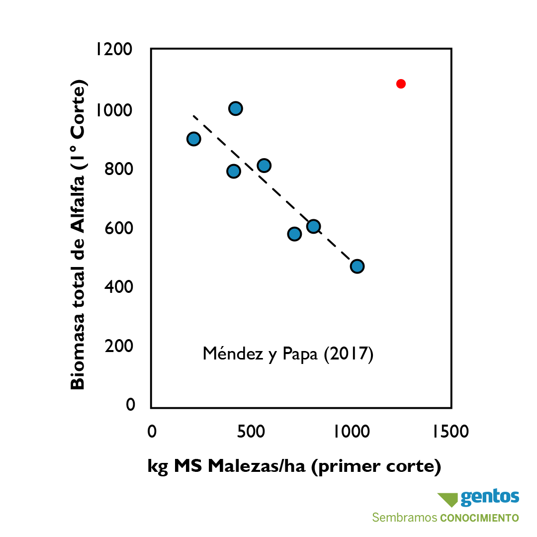 GentosArg's tweet photo. ¿Ya sembraste tus pasturas?. Recordá que los primeros 90 días constituyen el período crítico para el control de plagas y malezas. Un buen manejo durante la implantación te asegurará persistencia y producción en el tiempo. 
 
Consulta a nuestros técnicos para + info.
#GentosTips https://t.co/hs03RrB43x