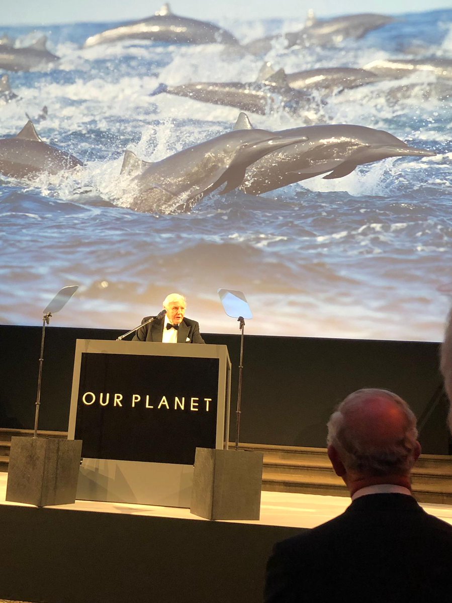 CFigueres's tweet photo. At 93, #DavidAttenborough is by no means giving up on the natural world. #OurPlanet, an 8-part documentary series, is coming to @Netflix on April 5. As President of WWF UK Prince Charles welcomed us all to a moving global premiere tonight #GlobalOptimism https://t.co/SEoJtHlhTy https://t.co/x7TZFgBSEB