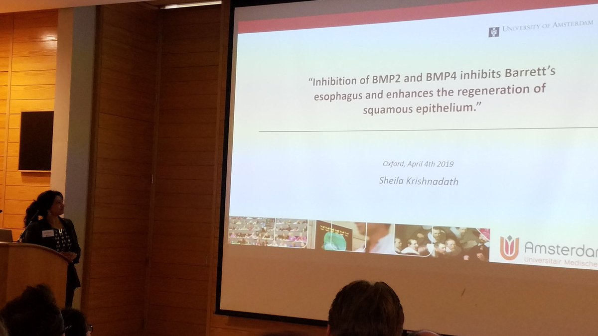 chaz_hong's tweet photo. BMP Signaling &amp; Cancer Conference @UniofOxford. A signaling role for endoglin &amp; BMP9 complex, w implications for PAH &amp; preeclampsia. BMP in leukemic stem cell persistence. BMP inhibition for Barrett’s esophagus. A. Neel, the poster winner! #BiochemSoc #BiochemEvent @CPMOxford https://t.co/d8H3hR8SLr