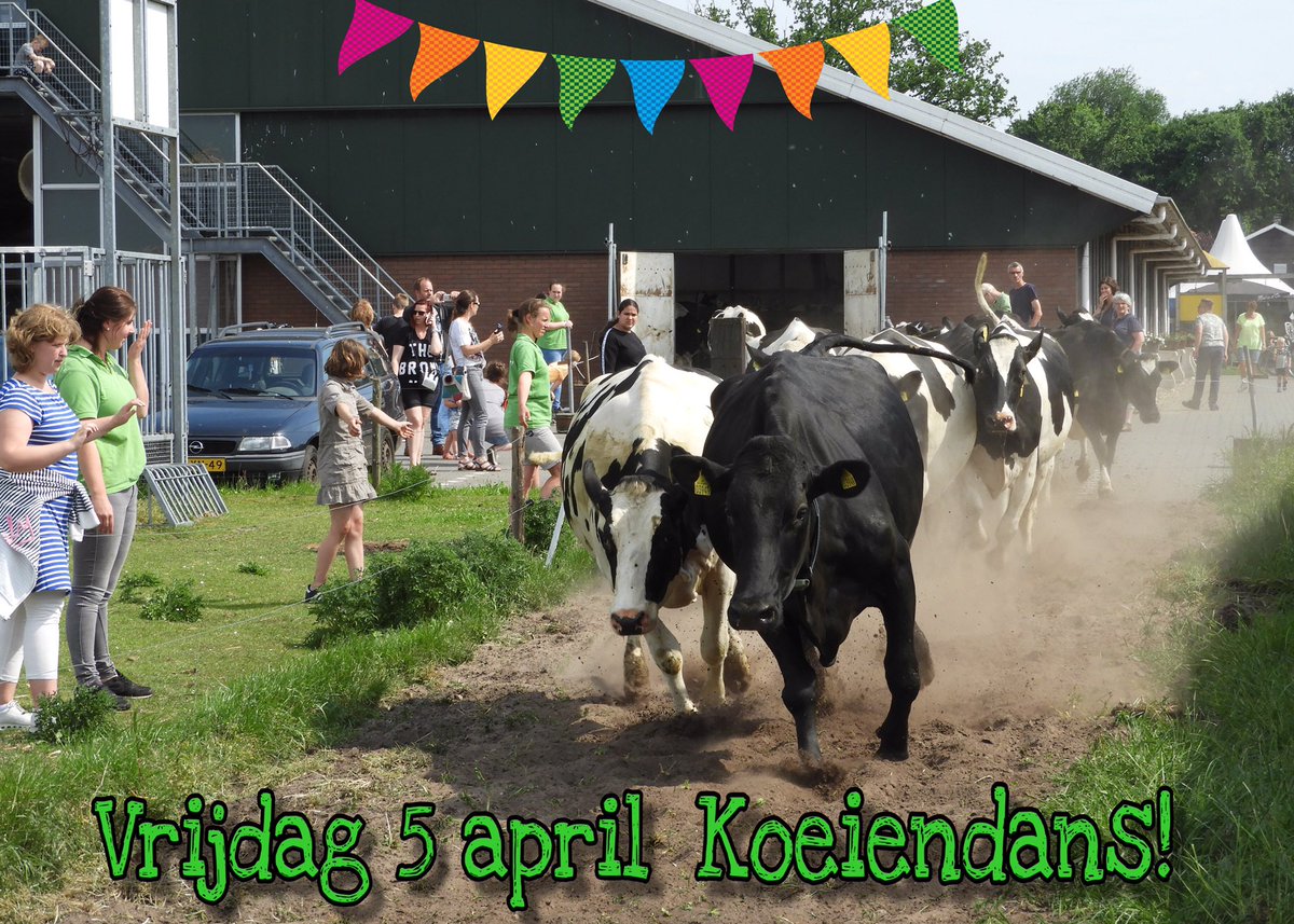 HedyNijk tweet picture