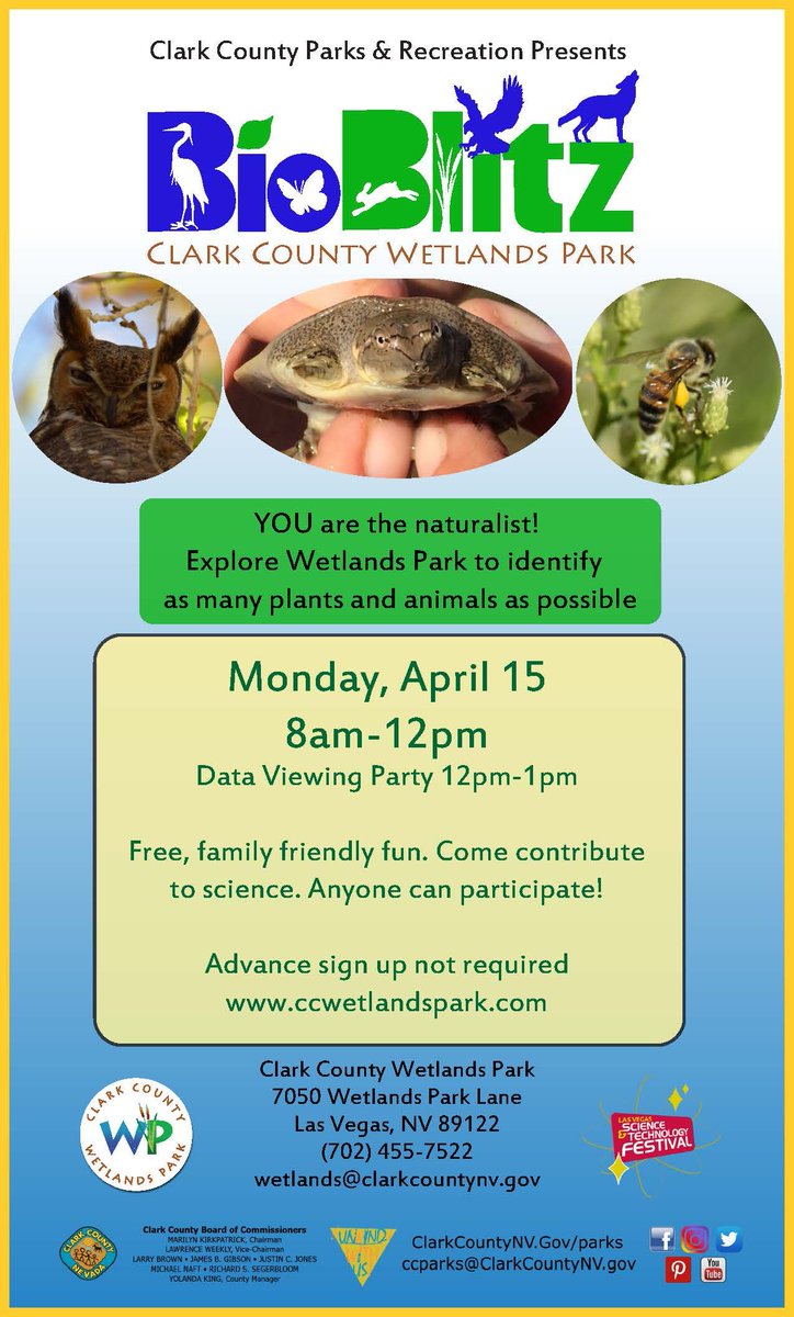 Laura Dearing Elem (@dearingdolphins) on Twitter photo 