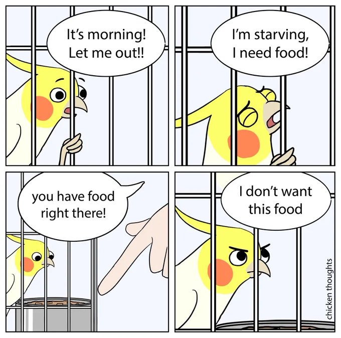 #birb 