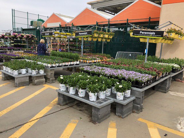 Cranberry HD 4135 looks perfect <a href="/GCGService/">GCG Merchandising</a> <a href="/DanStuppiello/">Dan Stuppiello</a> <a href="/KOKOLGM/">Mark Kociubinski</a>