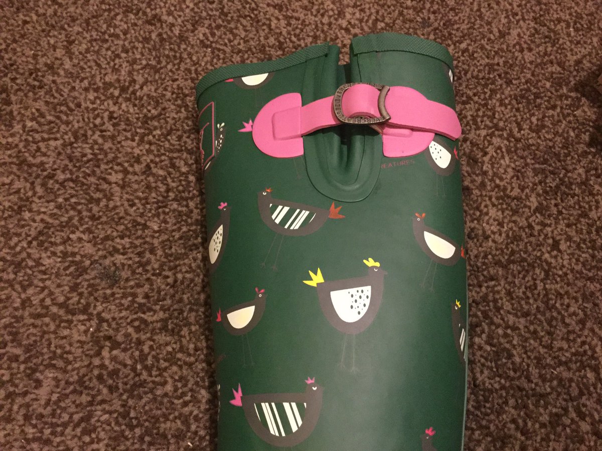 kym_whittet's tweet photo. Oh I love love 💖 love my new wellies! 🤩

@evercreatures #Wellies #Garden #Vegan #MyEvercreatures #Hens https://t.co/UiWhEbtIhH