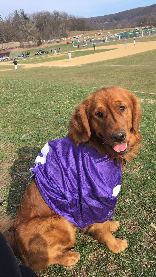 danitierney's tweet photo. Officially baseball season and Riggins couldnโt be more excited to watch @MWBaseball_! #crusaderswin #baseballseason #welovethecoach @the_real_coachT โพ๏ธ๐ https://t.co/1u9zSlnMtm