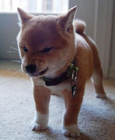 [ skids across the floor and tumbles over after a hot sec,, 

slowly stands up and gives keaton This Look... he's mad. ]