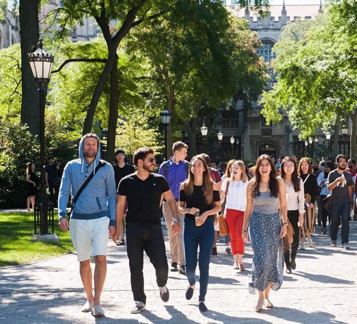 Harris Policy tweet media